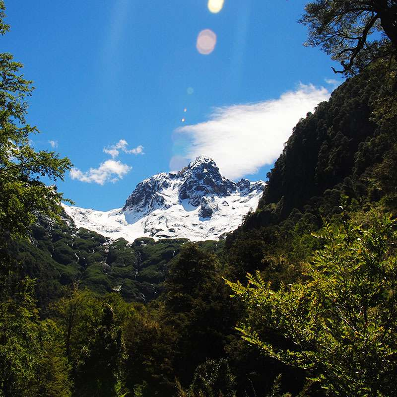 Montaña Condor Blanco